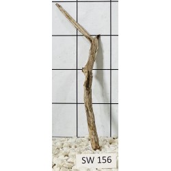 Stump wood 156