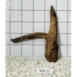 Mangrovewood 27