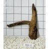 Mangrovewood 27