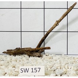 Stump wood 157
