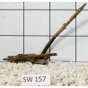Stump wood 157