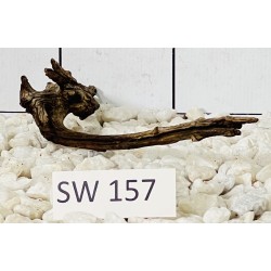 Stump wood 157