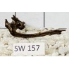 Stump wood 157