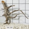 Stump wood 158