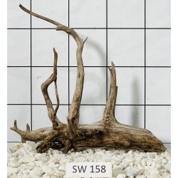 Stump wood 158