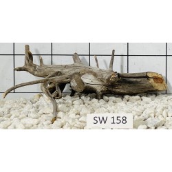 Stump wood 158
