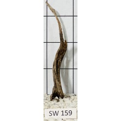 Stump wood 159