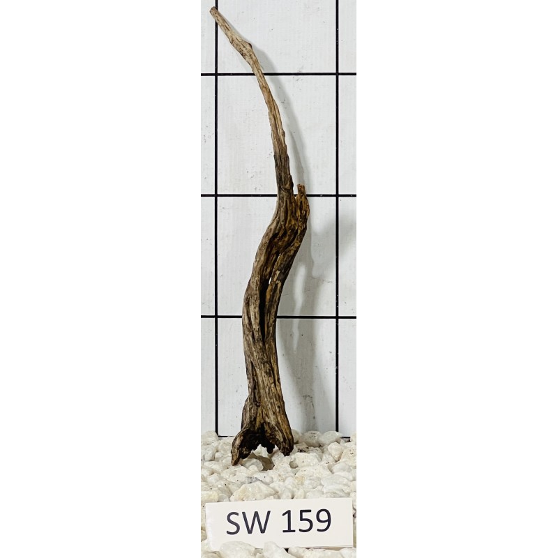 Stump wood 159
