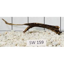 Stump wood 159
