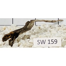 Stump wood 159