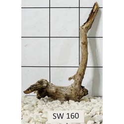 Stump wood 160