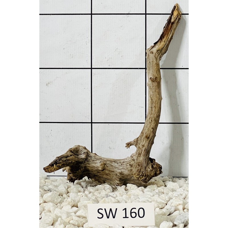 Stump wood 160