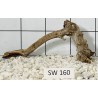 Stump wood 160
