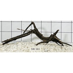 Stump wood 161