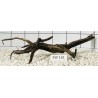 Stump wood 161
