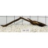Stump wood 162