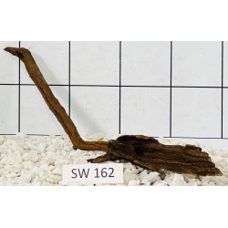 Stump wood 162