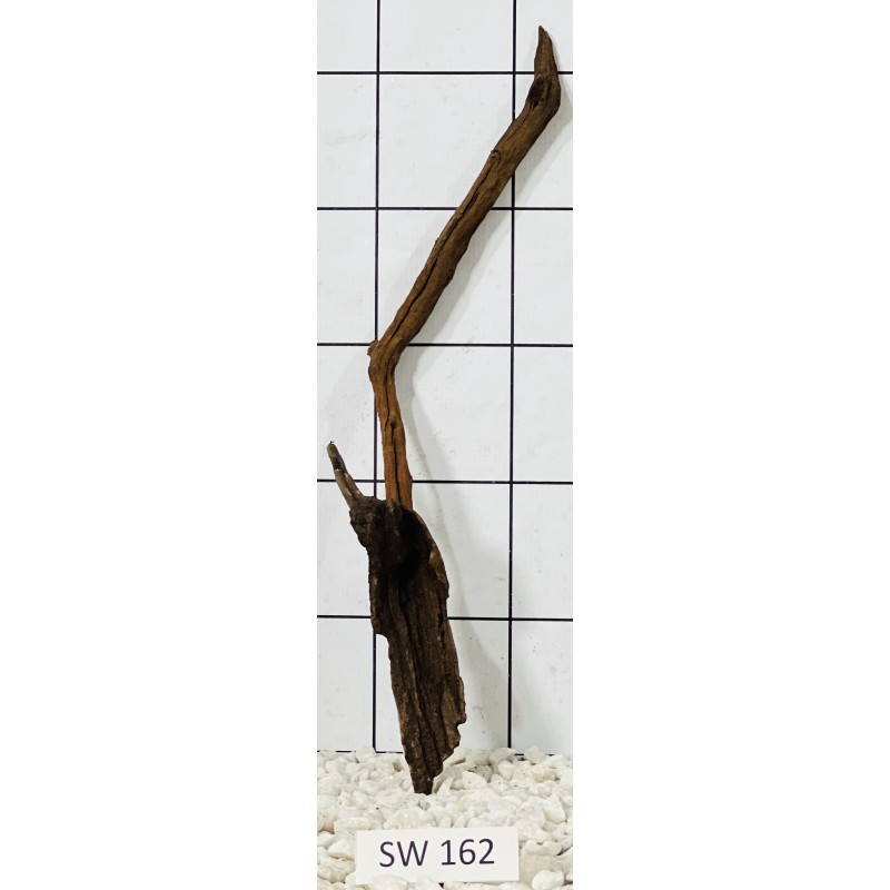 Stump wood 162