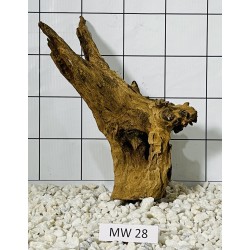 Mangrovewood 28