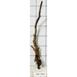 Stump wood 164