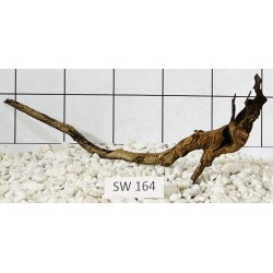 Stump wood 164