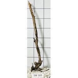 Stump wood 165