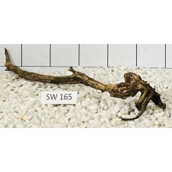 Stump wood 165