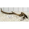 Stump wood 165