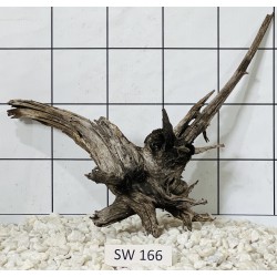 Stump wood 166