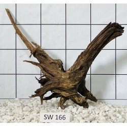 Stump wood 166