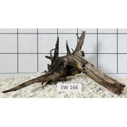 Stump wood 166