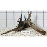 Stump wood 166