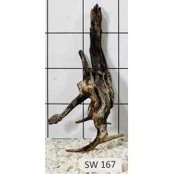 Stump wood 167
