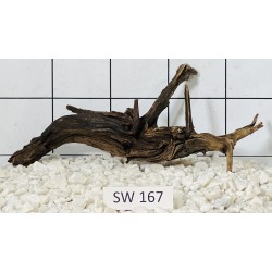Stump wood 167
