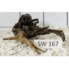 Stump wood 167