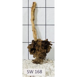 Stump wood 168