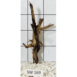 Stump wood 169