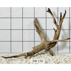 Stump wood 170