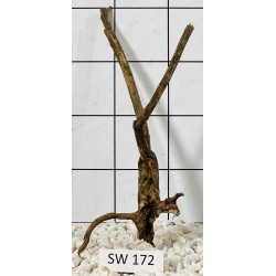 Stump wood 172