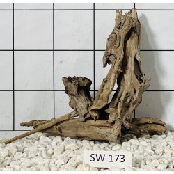 Stump wood 173