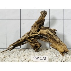 Stump wood 173
