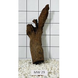 Mangrovewood 29