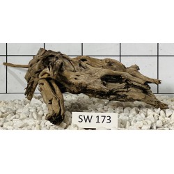 Stump wood 173