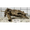 Stump wood 173