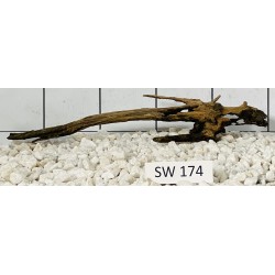 Stump wood 174