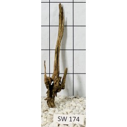 Stump wood 174