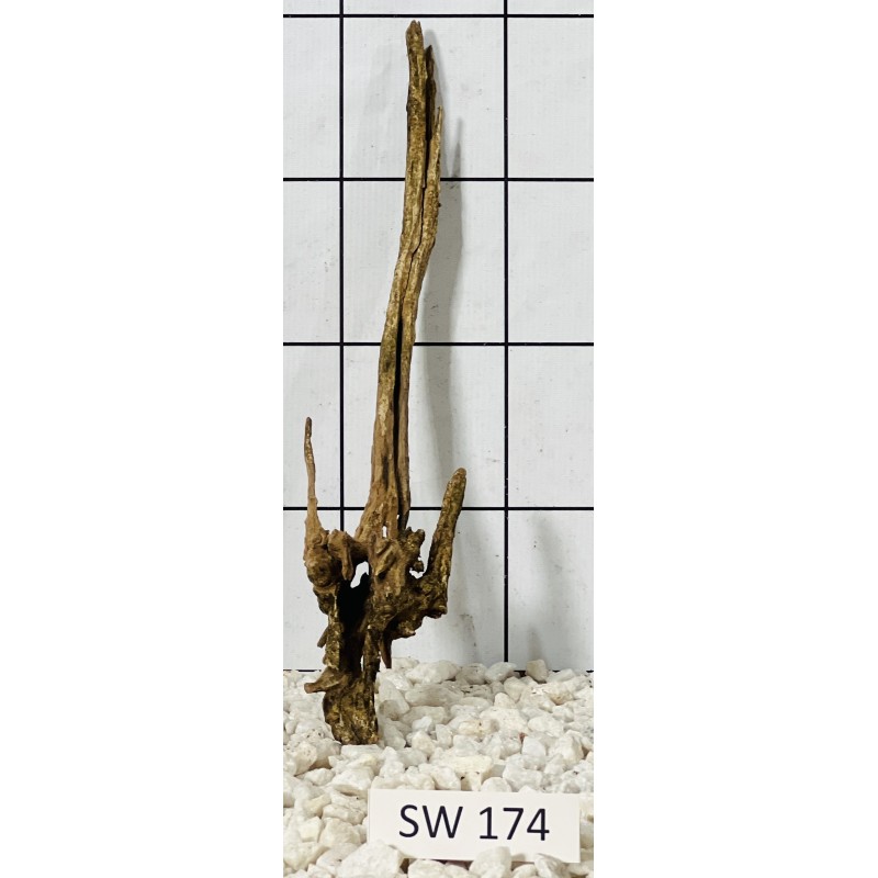 Stump wood 174