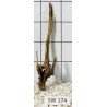 Stump wood 174