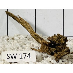 Stump wood 174