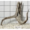 Stump wood 175